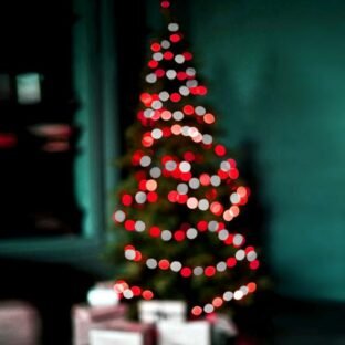 Luces de Árbol de Navidad